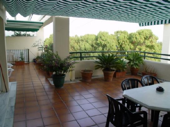 Terras Jacaranda 404