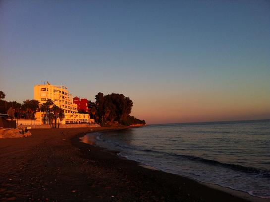 Jacaranda Estepona avondzon